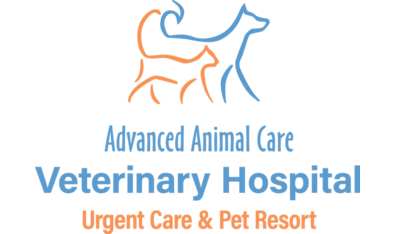 Pet 2024 care veterinary